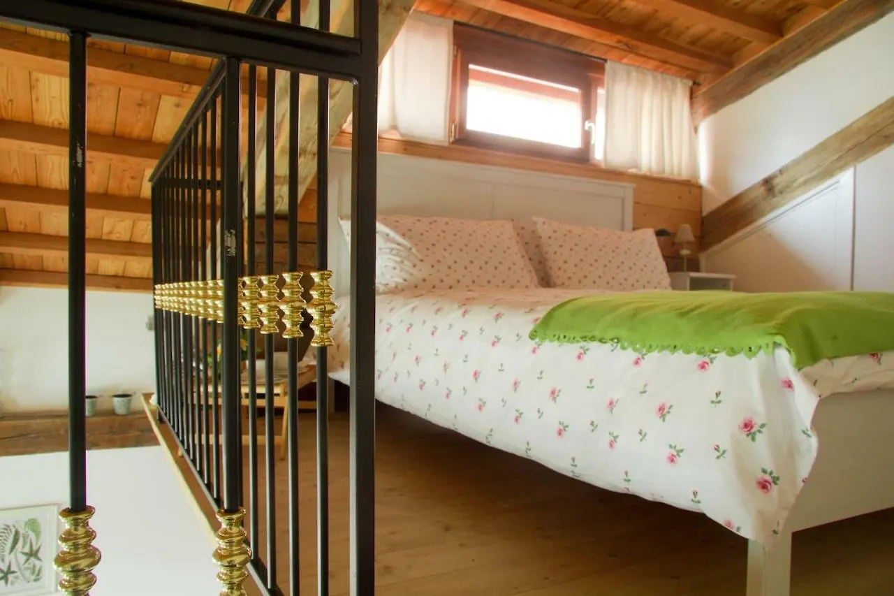 Apartment Loft Overlooking The Grand Canal Venice